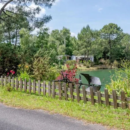 Mobil Avec Terrasse - 2 Personnes - Api-1-52-276 Campeggio *