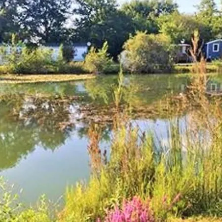 Mobil Avec Terrasse - 2 Personnes - Api-1-52-276